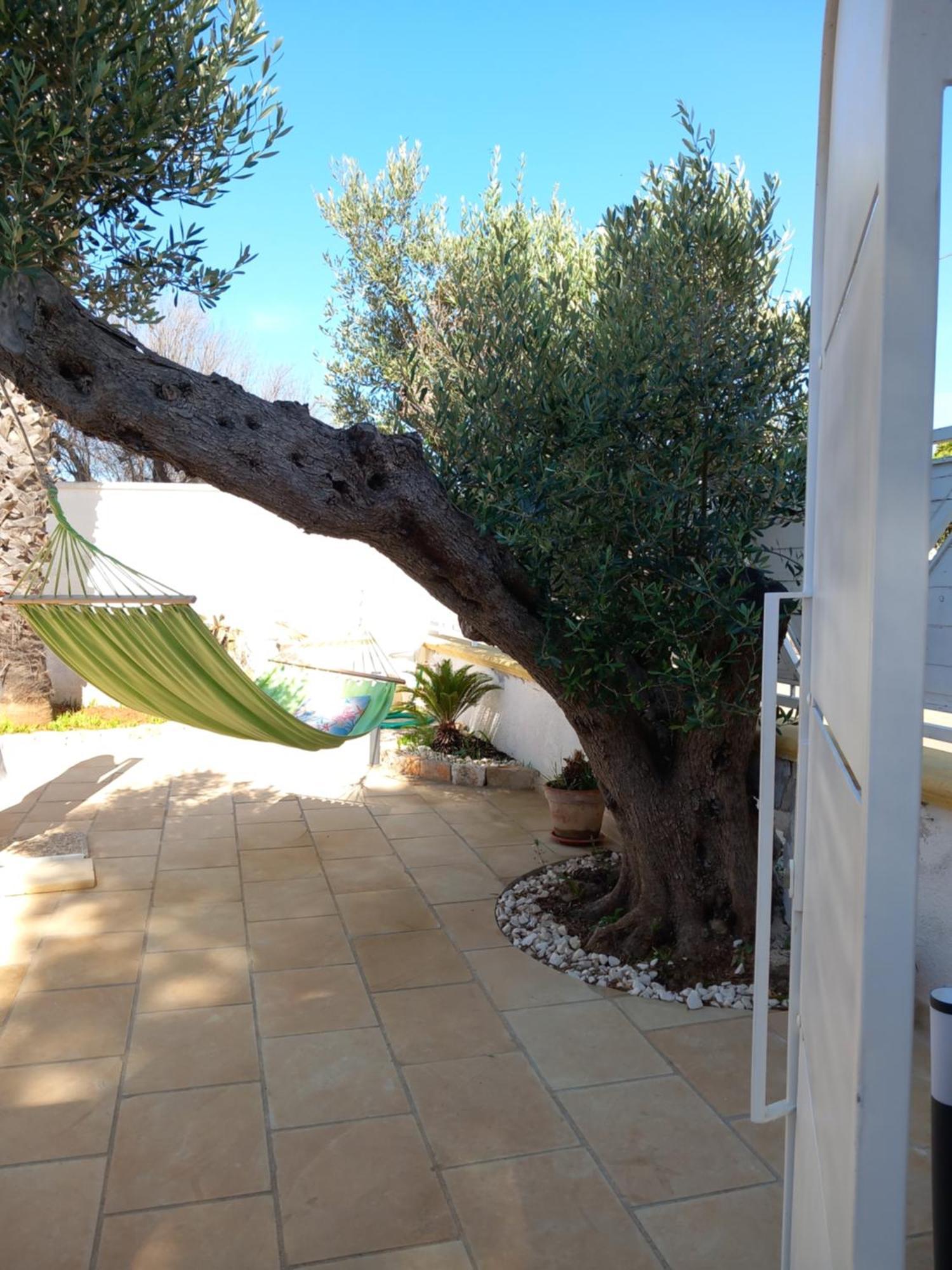 Alessandro House Porto Cesareo Zewnętrze zdjęcie